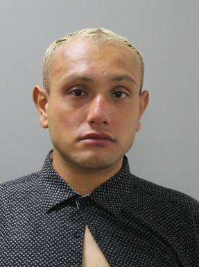 mugshot