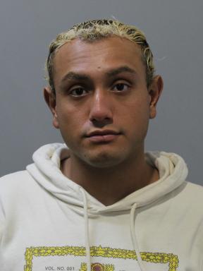 mugshot